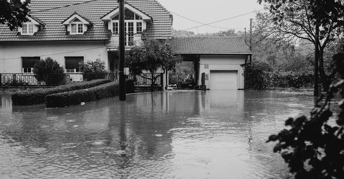 Cover Image for Roof Leak After a Storm: When Water Damage Is Covered
