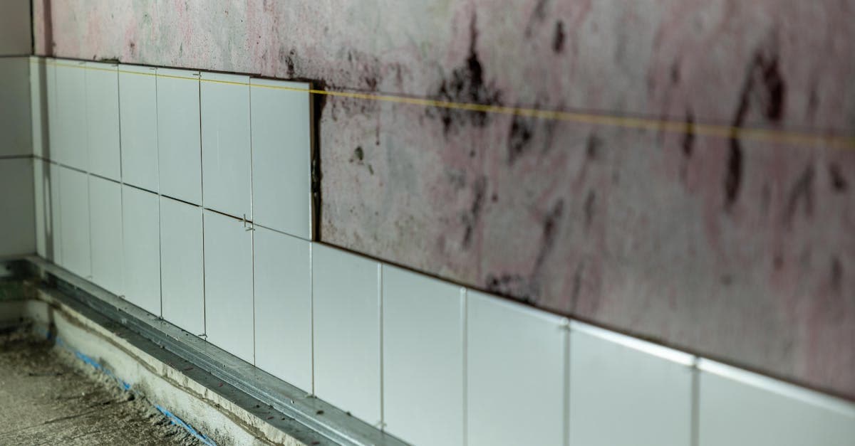 Cover Image for Mold Endorsements: Should You Add Extra Mold Coverage?