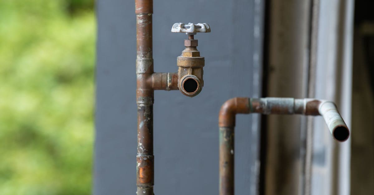 Cover Image for Mold from Plumbing Leaks: Does Home Insurance Cover It?