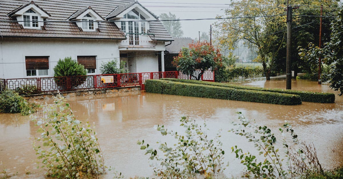 Cover Image for NFIP Flood Insurance: The Federal Program That Fills Your Homeowners Gap