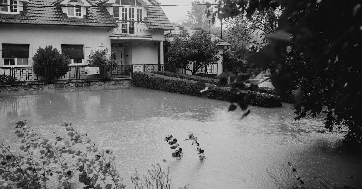 Cover Image for Homeowners Insurance Water Damage vs Flood Insurance Water Damage: The Distinction