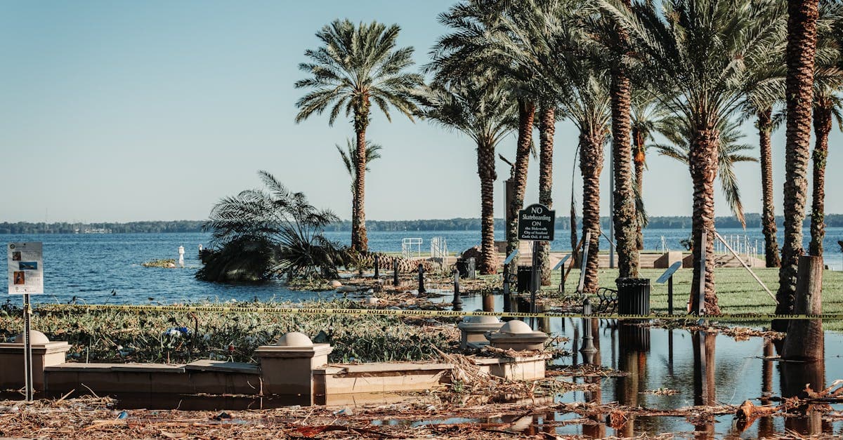 Cover Image for How Much Can You Save by Choosing a Higher Hurricane Deductible in Florida?