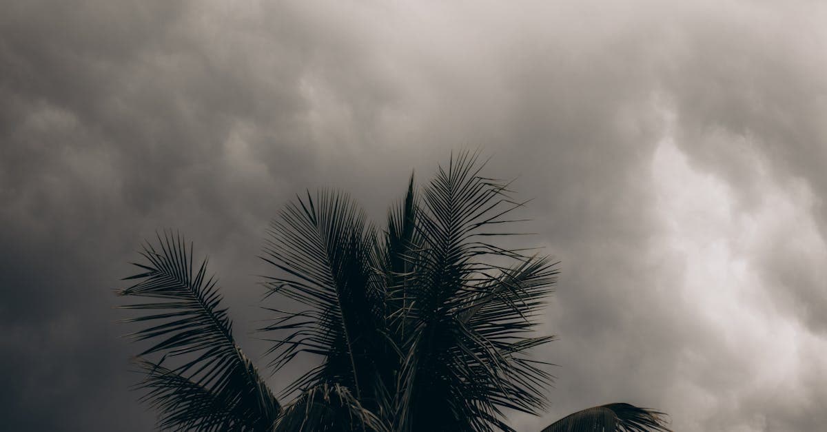 Cover Image for How Percentage-Based Hurricane Deductibles Multiply Your Financial Exposure