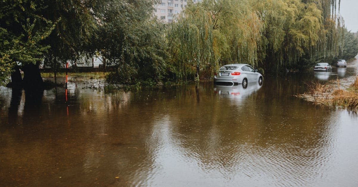 Cover Image for Private Flood Insurance Options for Renters Beyond the NFIP